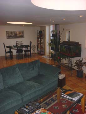 Living room looking at the dining room